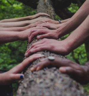 shane-rounce-DNkoNXQti3c-unsplash hands